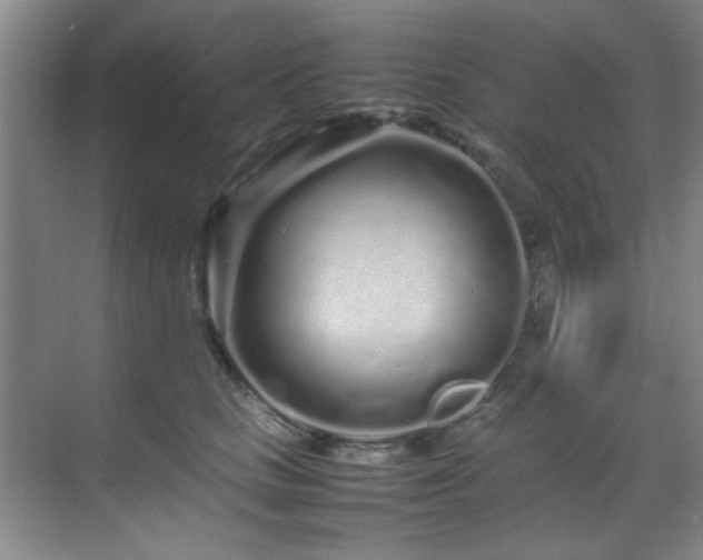 X0000070230661200605261345