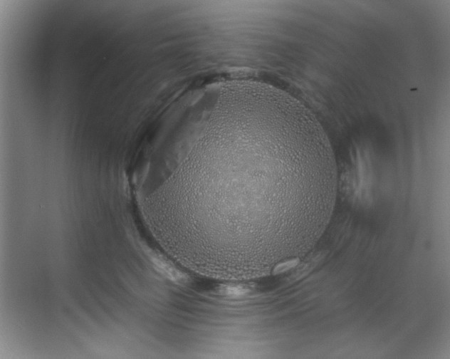 X0000070230662200605261345