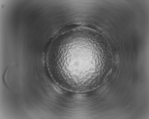 X0000070230664200605261345