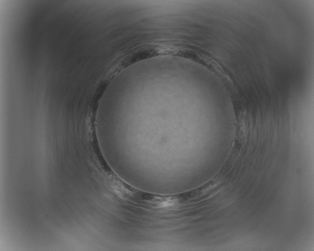 X0000070230667200605261345
