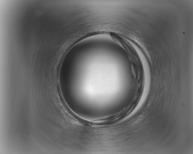 X0000070230673200605261344