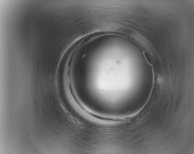 X0000070230676200605261344