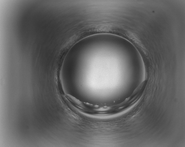 X0000070230681200605261344