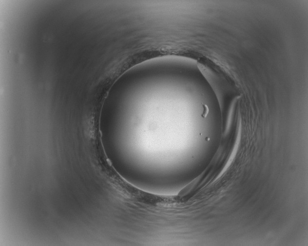 X0000070230689200605261344