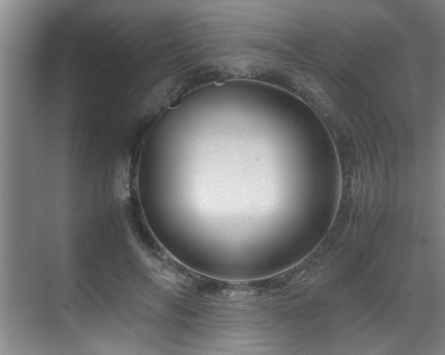 X0000070230694200605261344