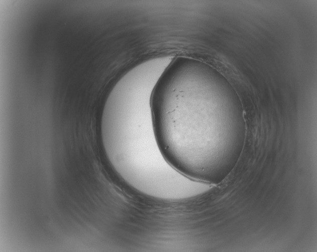 X0000070230696200605261344