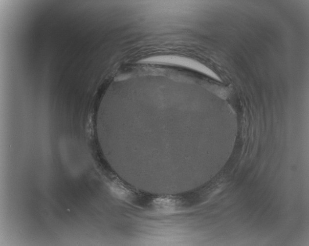 X0000070230699200605261344