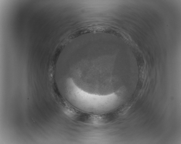 X0000070230701200605261344