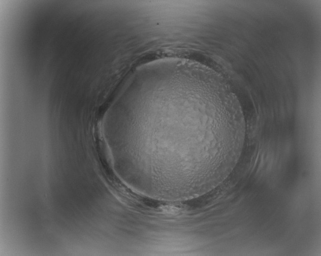 X0000070230703200605261344