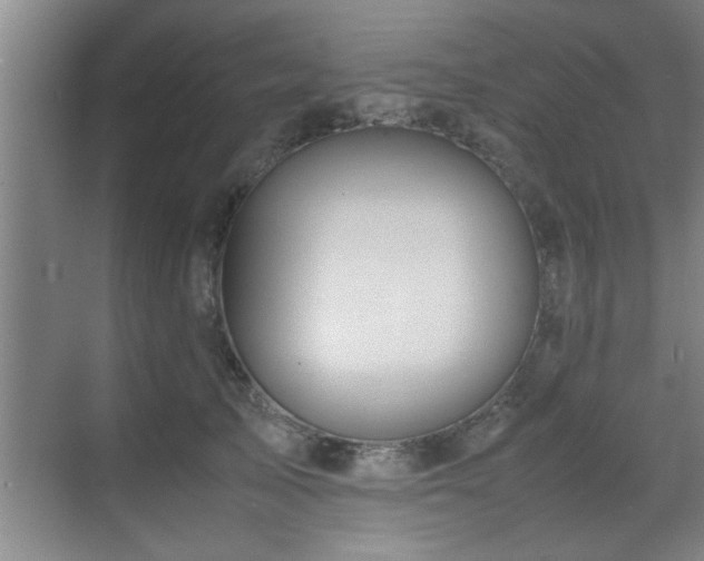 X0000070230705200605261344
