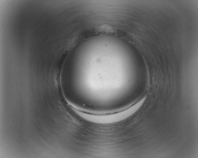 X0000070230708200605261344