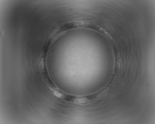 X0000070230716200605261344