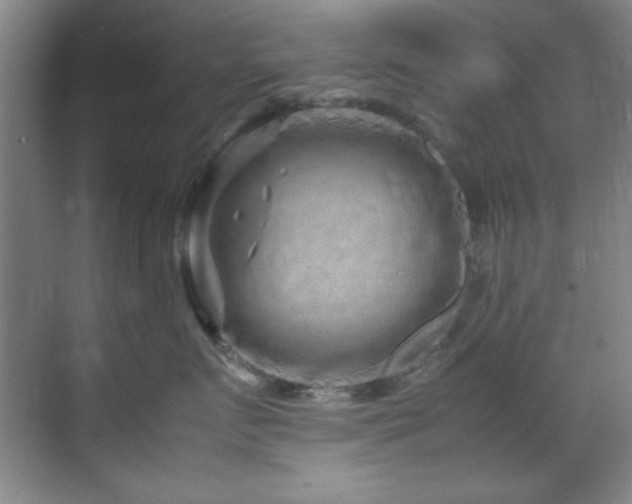 X0000070230719200605261344