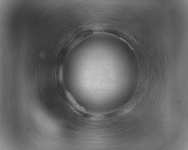 X0000070230720200605261344