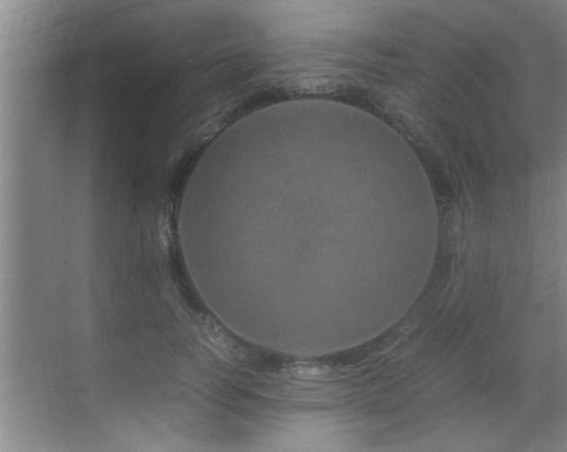 X0000070230746200605261343