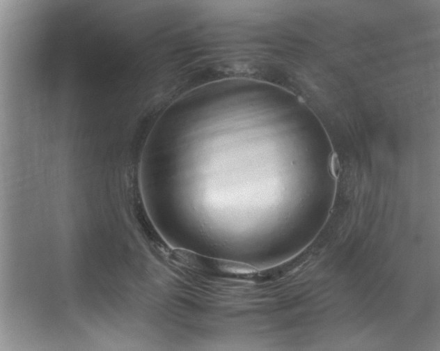 X0000070230747200605261343