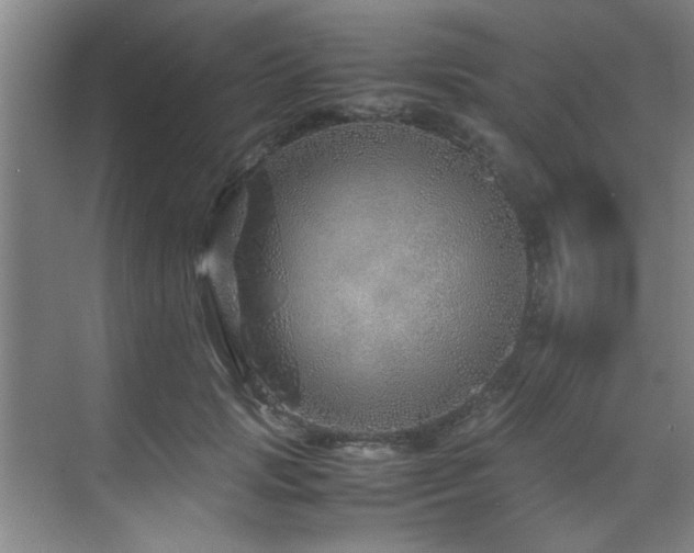 X0000070230749200605261343