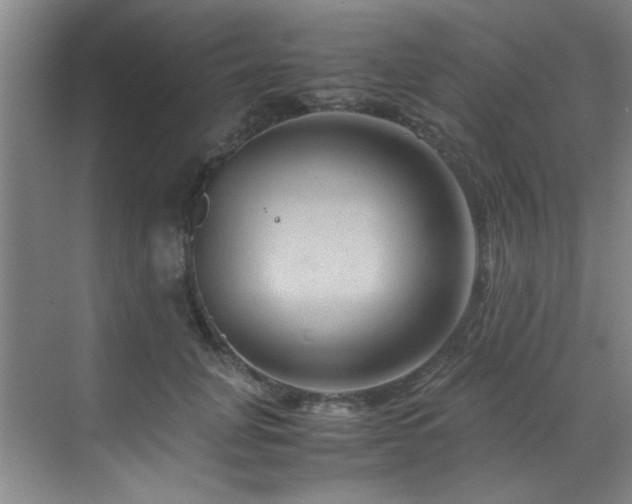 X0000070230751200605261343