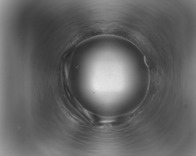 X0000070230752200605261343