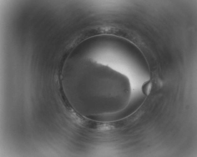 X0000070230754200605261343