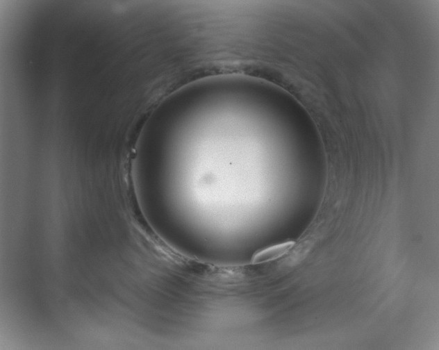 X0000070230768200605261344