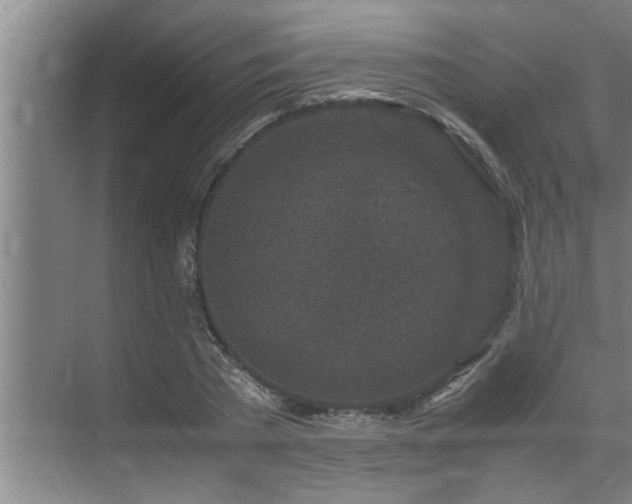 X0000070230785200605261342