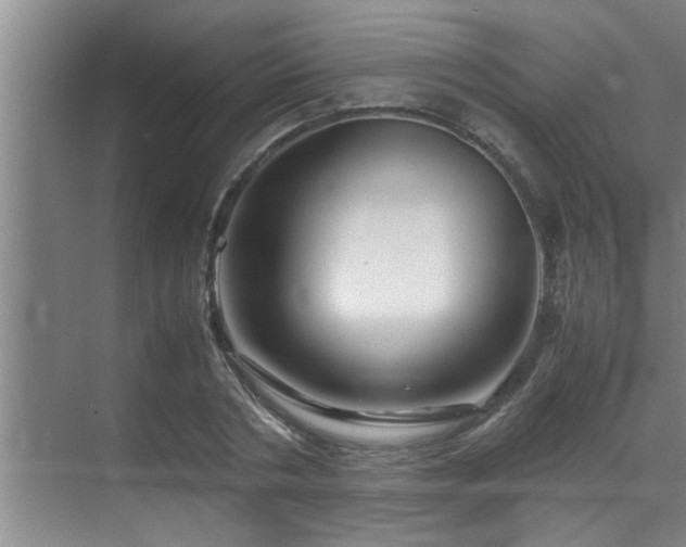 X0000070230786200605261342