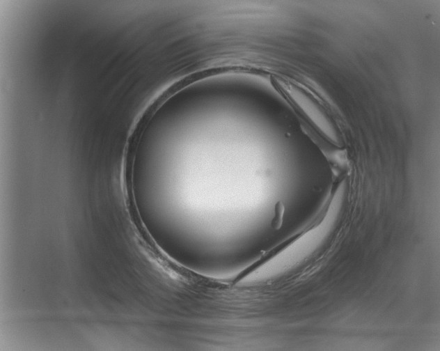 X0000070230788200605261342