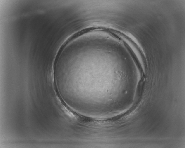 X0000070230791200605261342