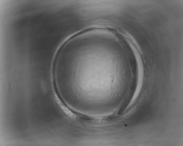 X0000070230795200605261342