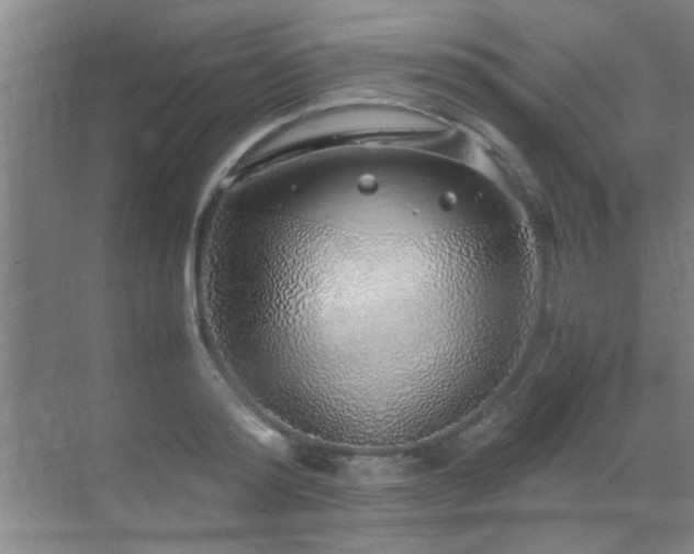 X0000070230796200605261342