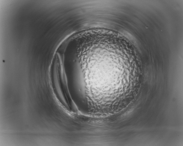X0000070230798200605261342