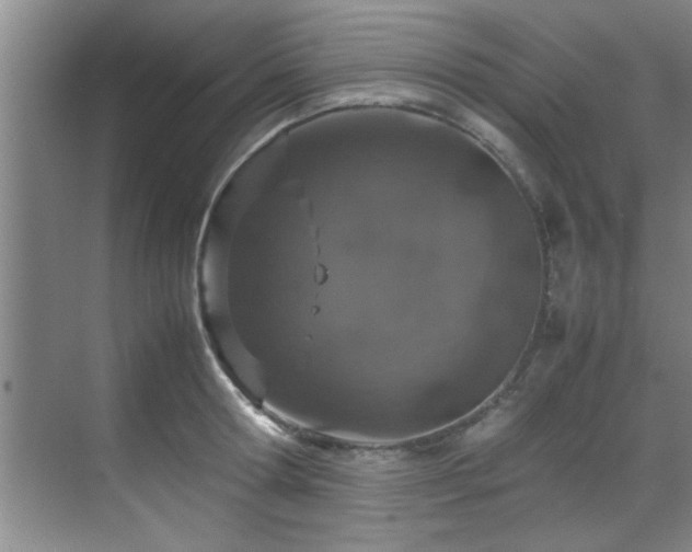 X0000070230802200605261342