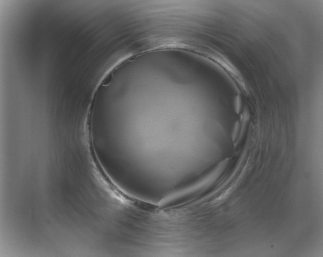 X0000070230806200605261342