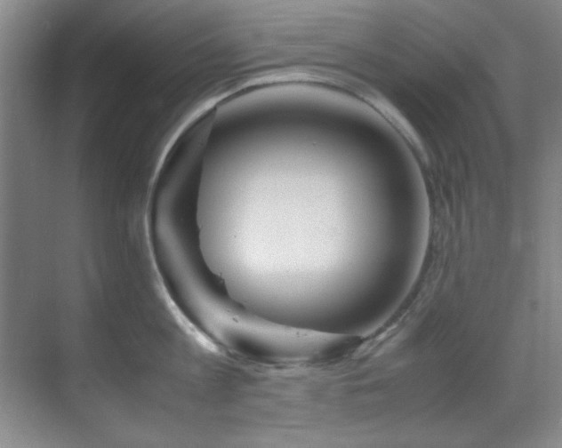 X0000070230813200605261342