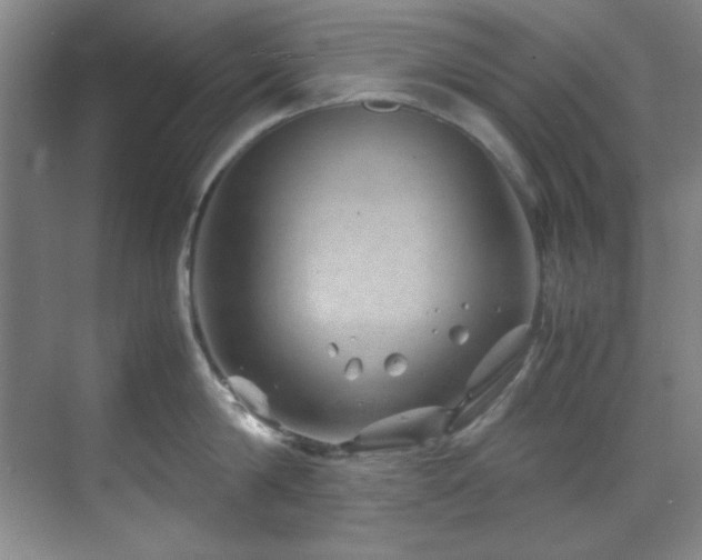 X0000070230814200605261342