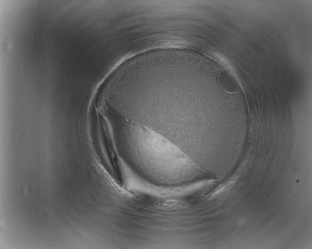 X0000070230835200605261341