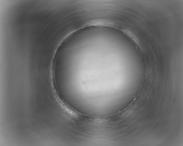 X0000070230848200605261342