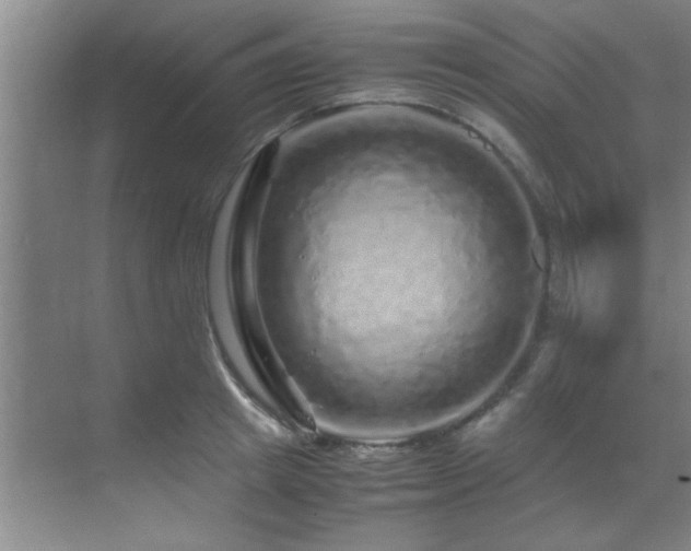 X0000070230849200605261342
