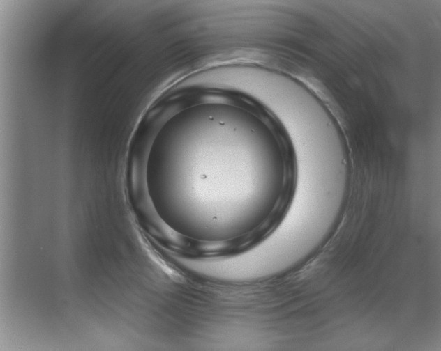 X0000070230850200605261342