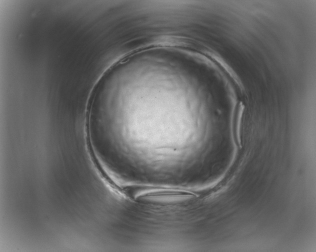 X0000070230853200605261342