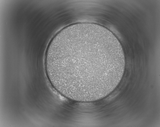 X0000070230856200605261342