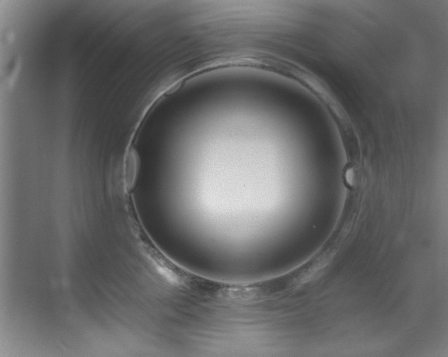 X0000070230858200605261342