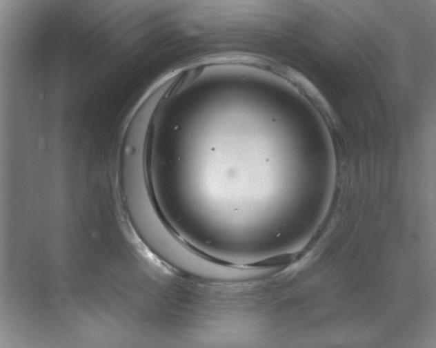 X0000070230860200605261342