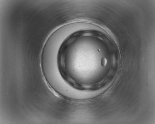 X0000070230862200605261342