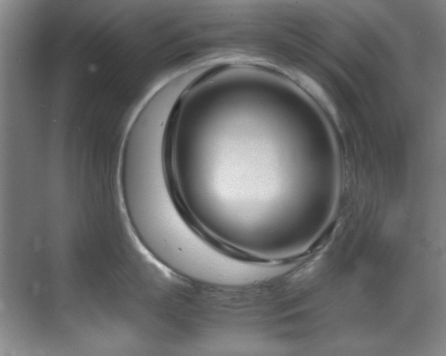 X0000070230863200605261342