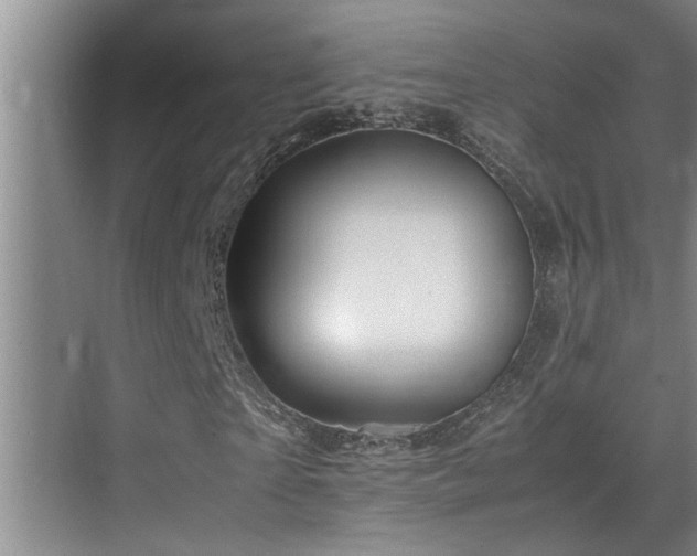 X0000070230865200605261341