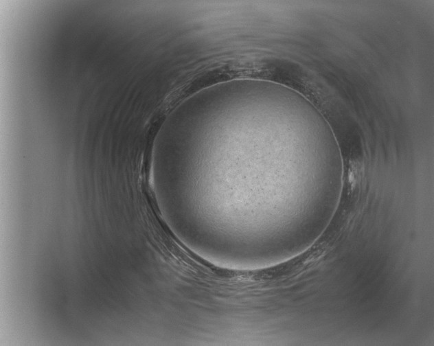 X0000070230867200605261341