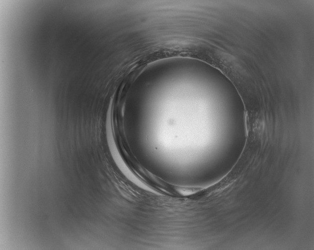 X0000070230868200605261341