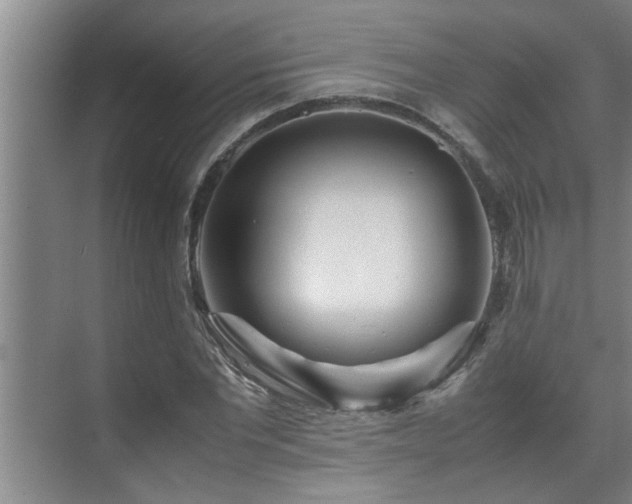 X0000070230877200605261341